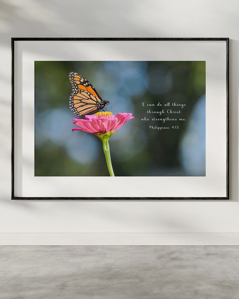 Monarch butterfly on a beautiful pink zinnia flower 