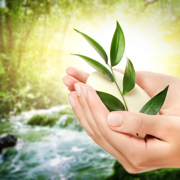 Glass And A Cup With Transparent Cool Clean Water On A Green Garden  Background Clean Water Health Food Industry Health Ecology Environmental  Protection Thirst Quenching Stock Photo - Download Image Now - iStock