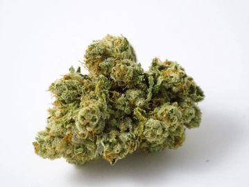 Cannabis. Marijuana, Weed