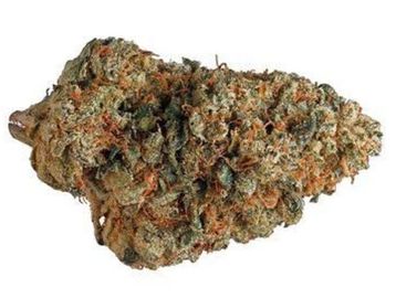 Cannabis. Marijuana, Weed