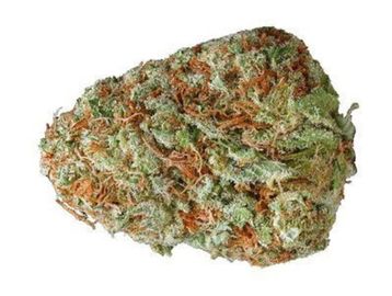 Cannabis. Marijuana, Weed