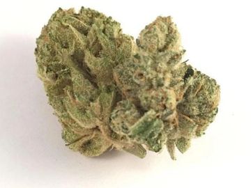 Cannabis. Marijuana, Weed