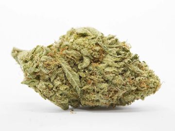 Cannabis. Marijuana, Weed