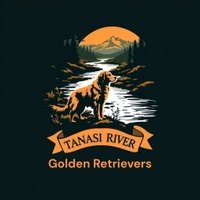 Tanasi River Golden Retrievers