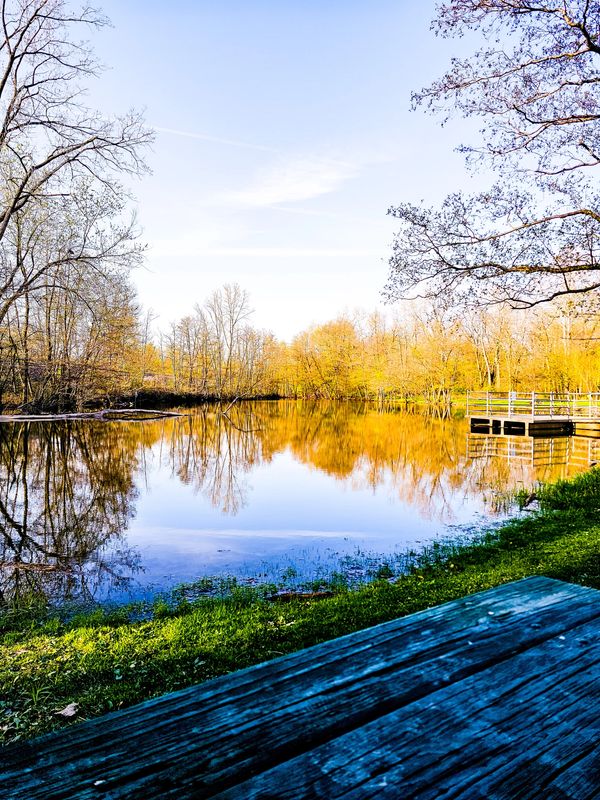 Serene lake with autumn trees and blue sky reflecting in water.