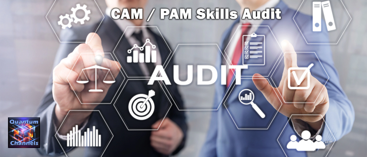 1:1 Individual Skills Audit