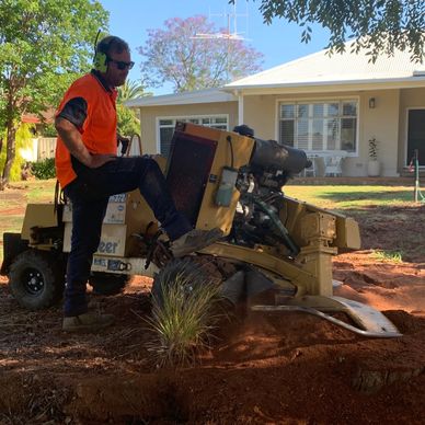 Stump Grinding 