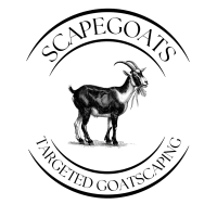Scapegoats Maryland
