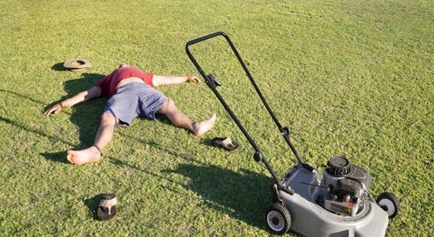 Getting to know your lawn can save you from mistakes