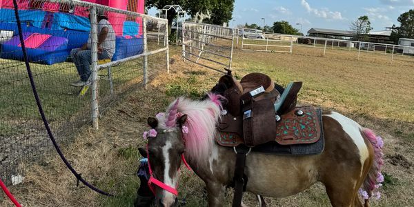 Pony Rentals 
