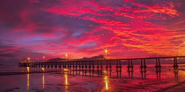 Beautiful cardwell