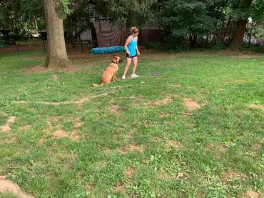 Woman training Malinois