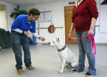 Woman giving dog a treat