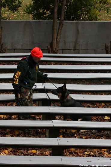 Dog and woman by bleachers