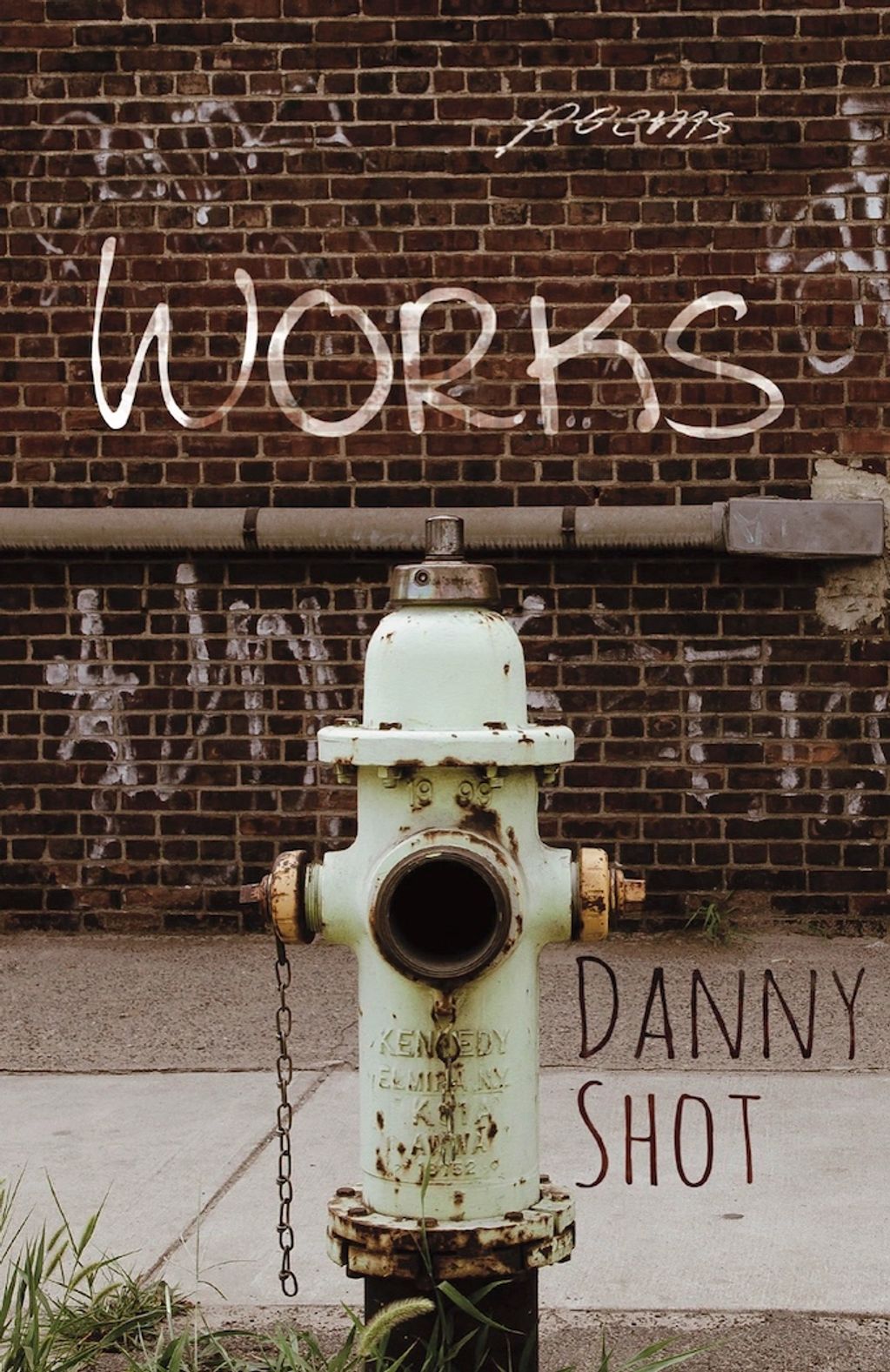 Front Cover book by Danny Shot WORKS