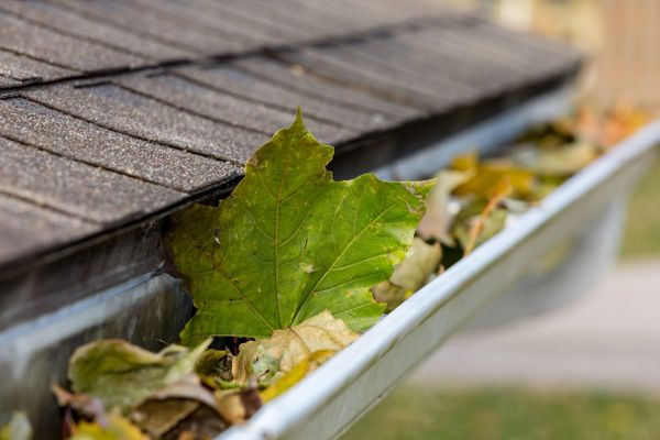 Gutters before a professional cleaning.