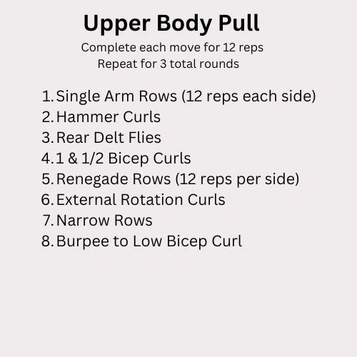 Upper Body Pull Workout