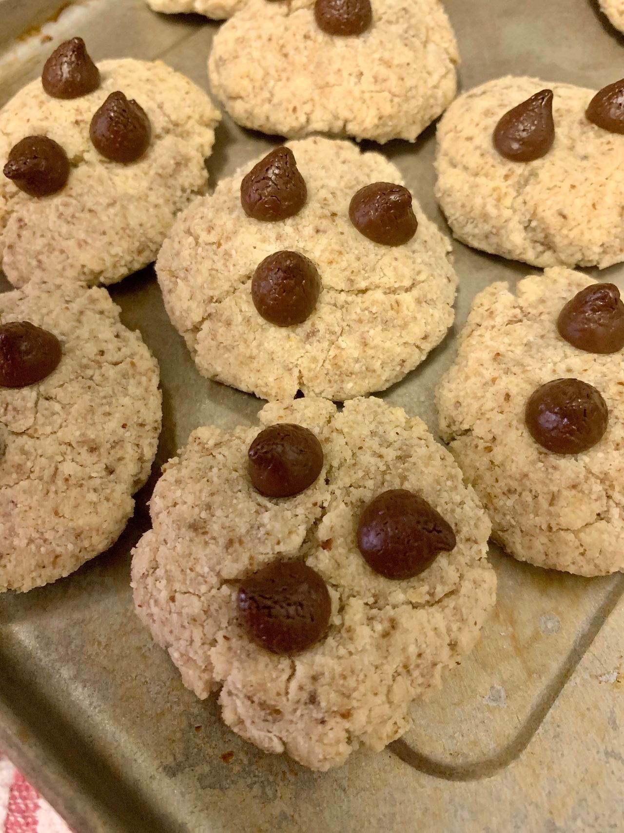 Coconut Chocolate Chip Cookies