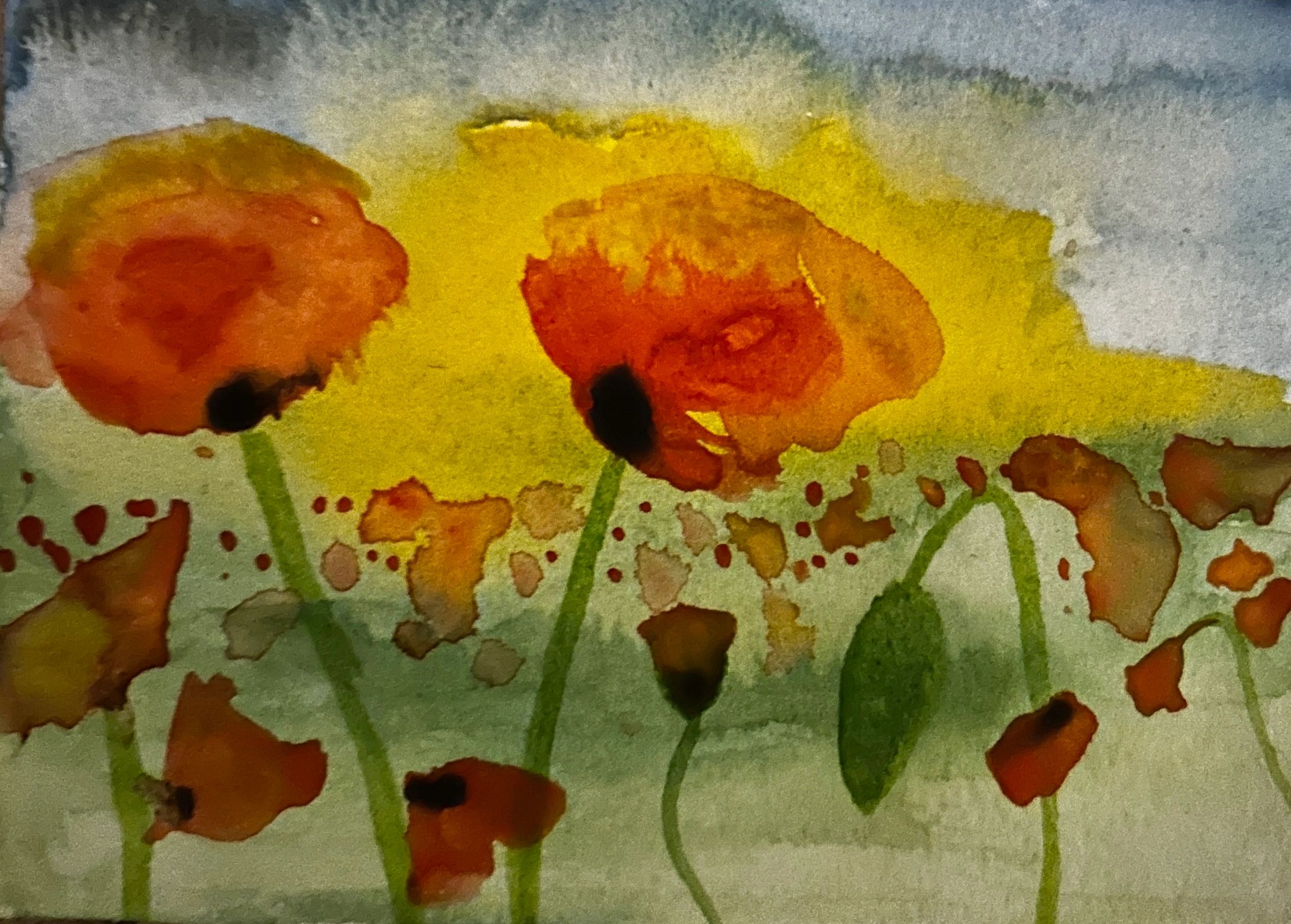 Abstract red poppies in watercolour
