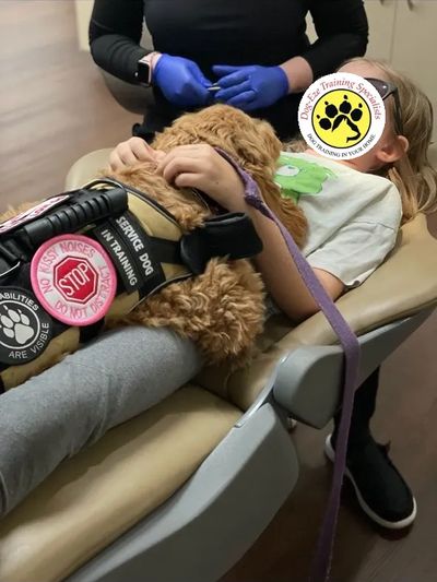 Autism Service Dog 