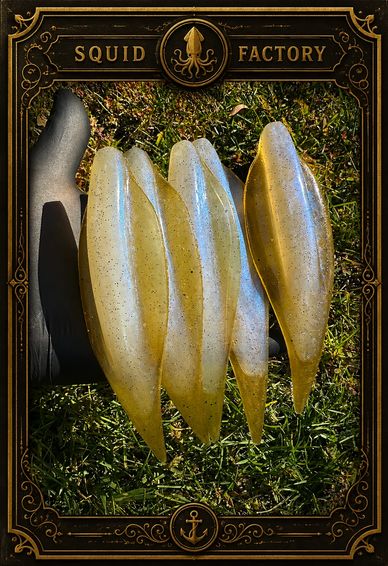 Five translucent squid caught and displayed on grass, held by a gloved hand.