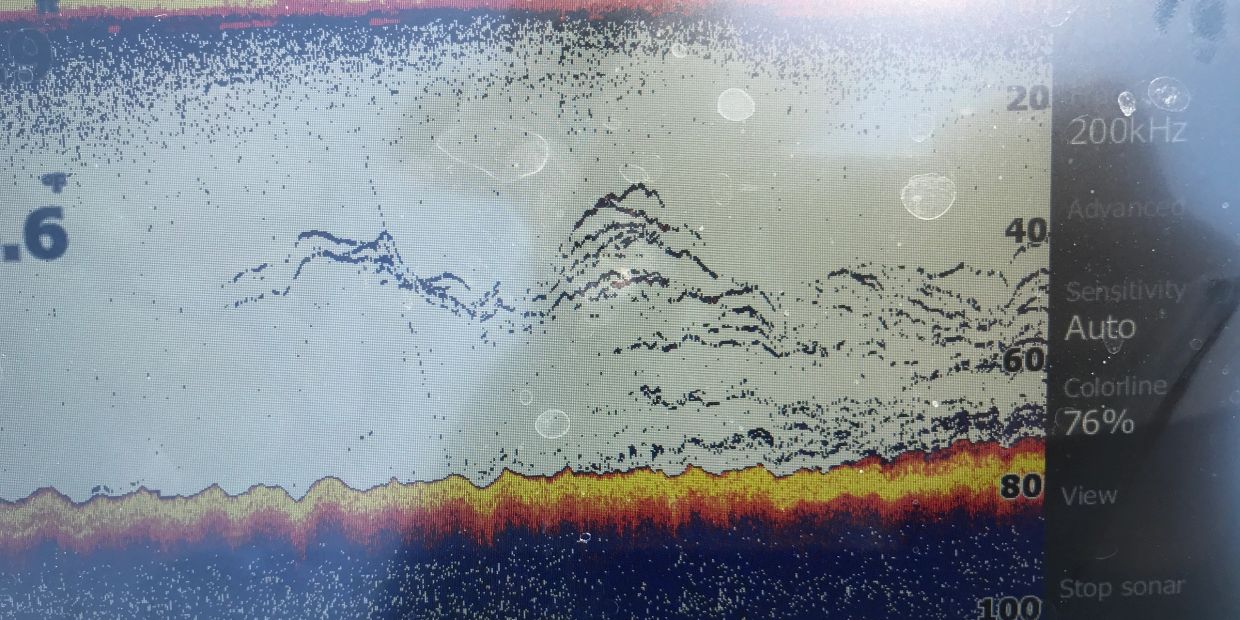 Fish sonar display showing underwater contours and depth.