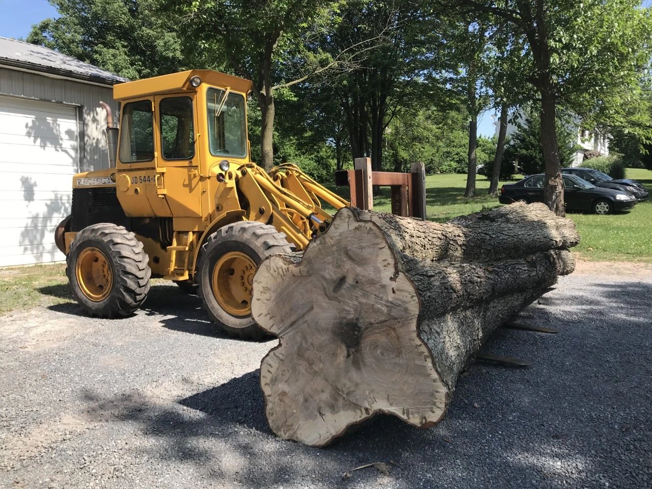 Seidel's Tree Service - Tree Removal, Tree Service, Tree Trimming