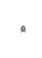 ROAD LION TRANSPORT LLC