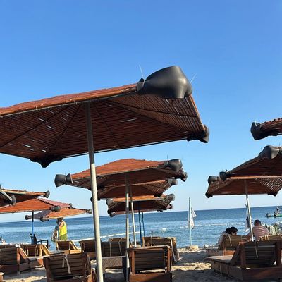 Plajda ahşap şemsiyeler ve deniz manzarası.