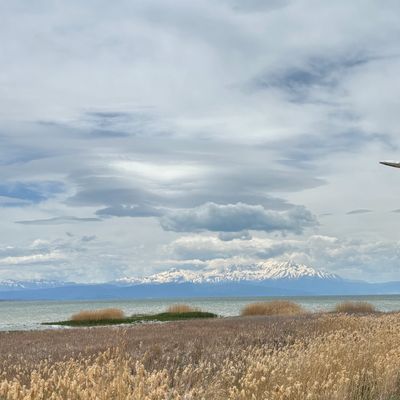 Snow-capped mountains under a cloudy sky with a lake and dry grass in the foreground.