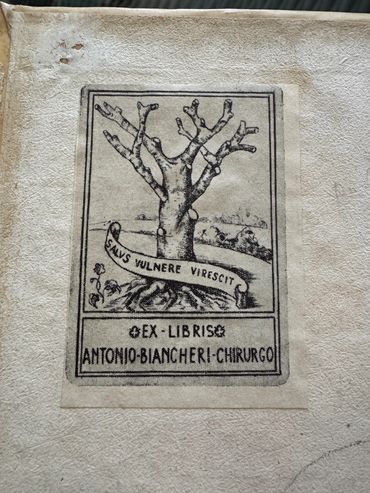 Ex-libris bookplate with a tree and motto Salus vulnere virescit, Antonio Bianchieri, Chirurgo