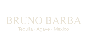 BRUNO BARBA