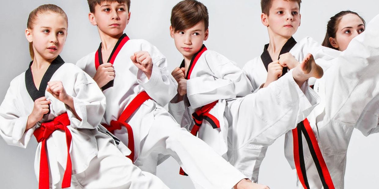 Team Nogueira Dubai - Hey guys, here is our updated schedule. Our kids  programs are back on track! We have now added Karate for our 5-10 year  olds. Also, there is a