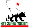 North California Tree Experts