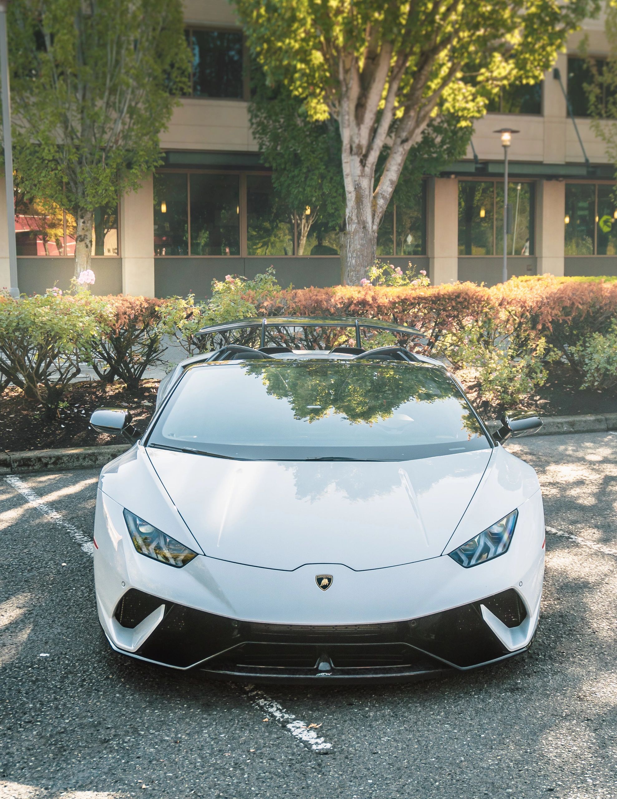 Professional Mobile Detailing Services