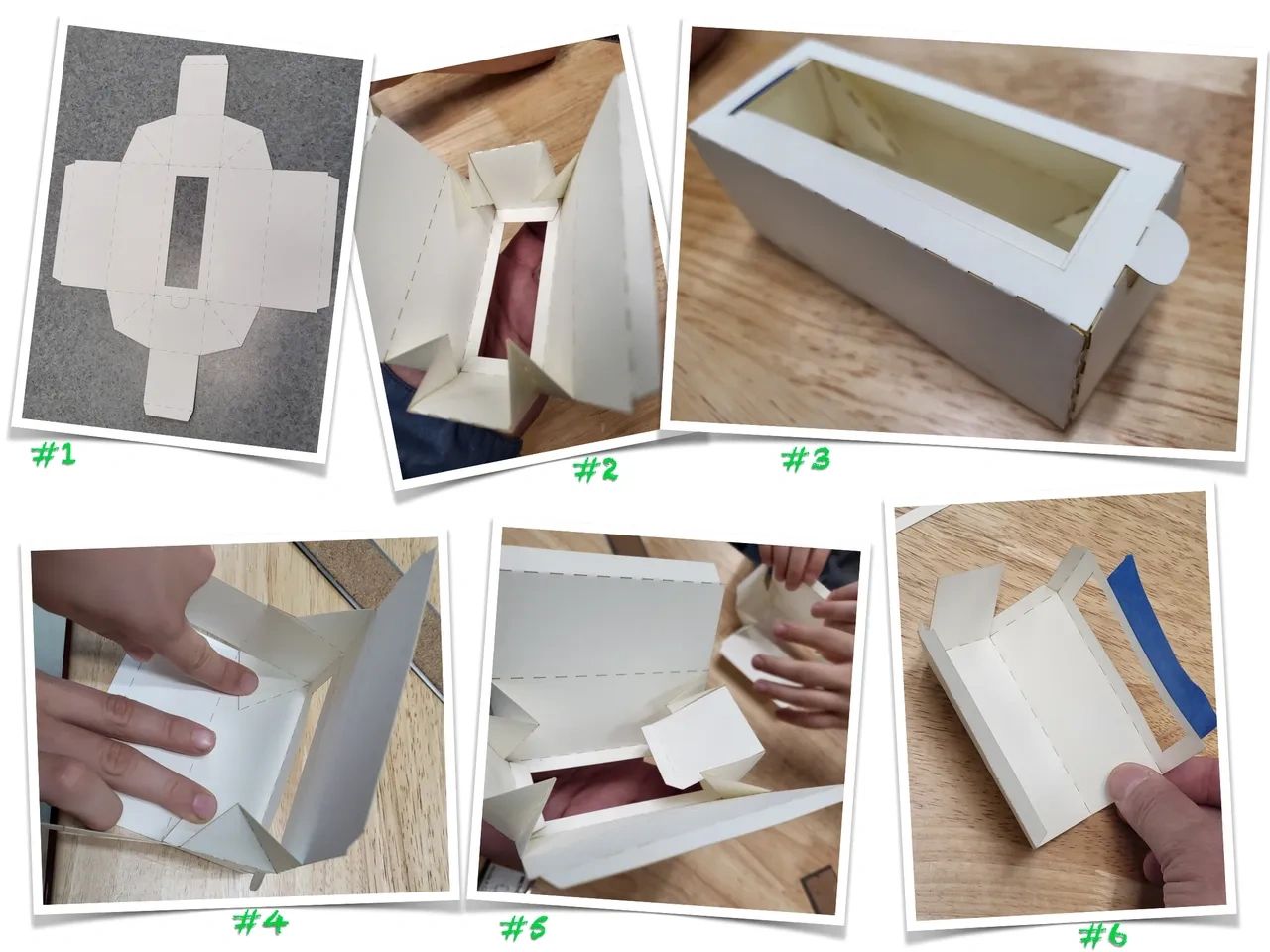 Bug Observation Boxes