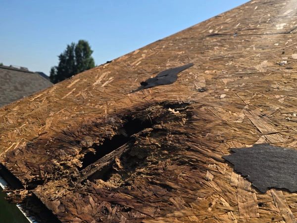 Rotten wood on a roof