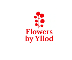 Flowers by Yllod