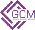  GRUPOCESLAF.COM