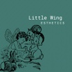 Little Wing Esthetics