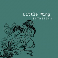 Little Wing Esthetics