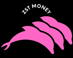 ZST MONEY