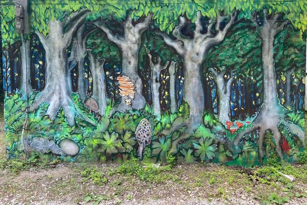 mural painting