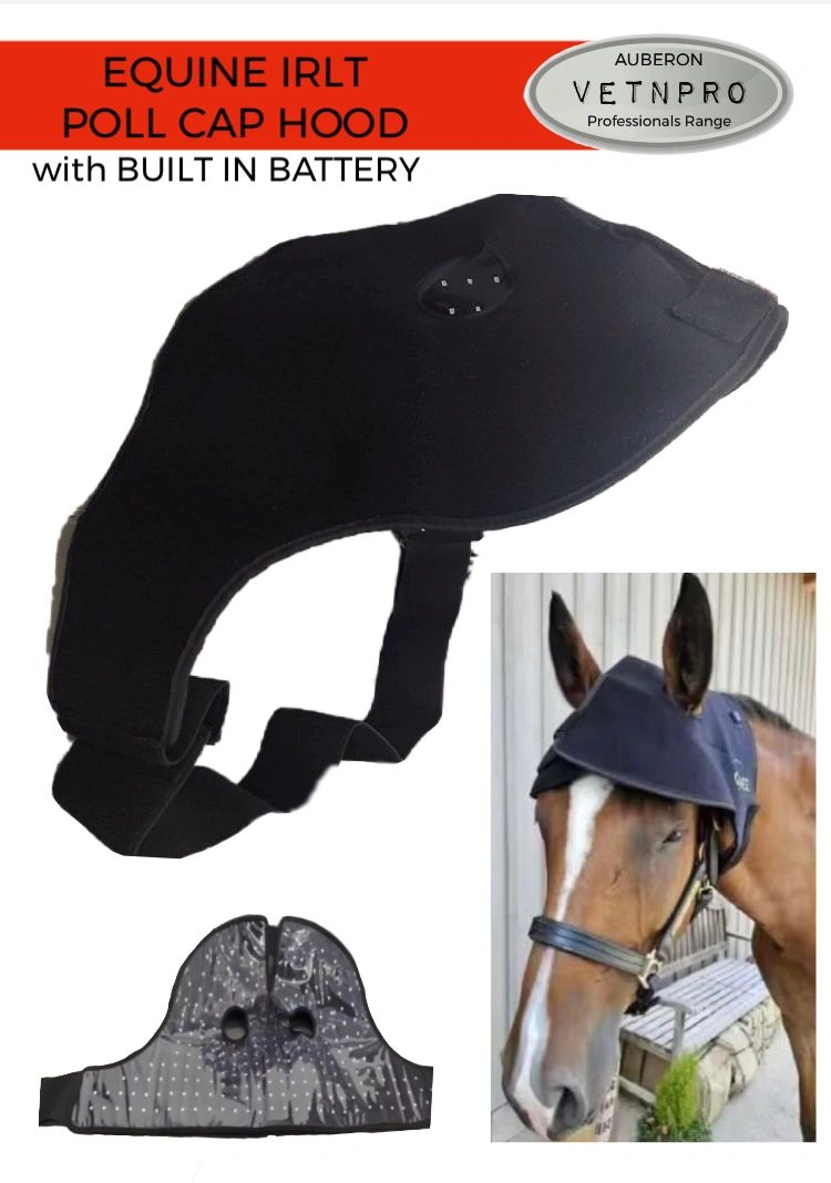 Equine Infrared Red Light Therapy Poll Cap Hood WIRELESS BUILT IN