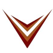 VJDS International Inc.