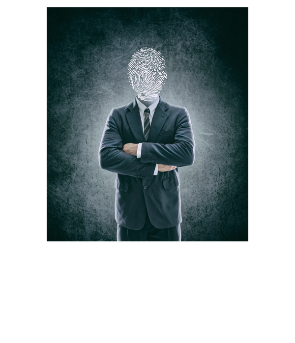 Fraud risk leader