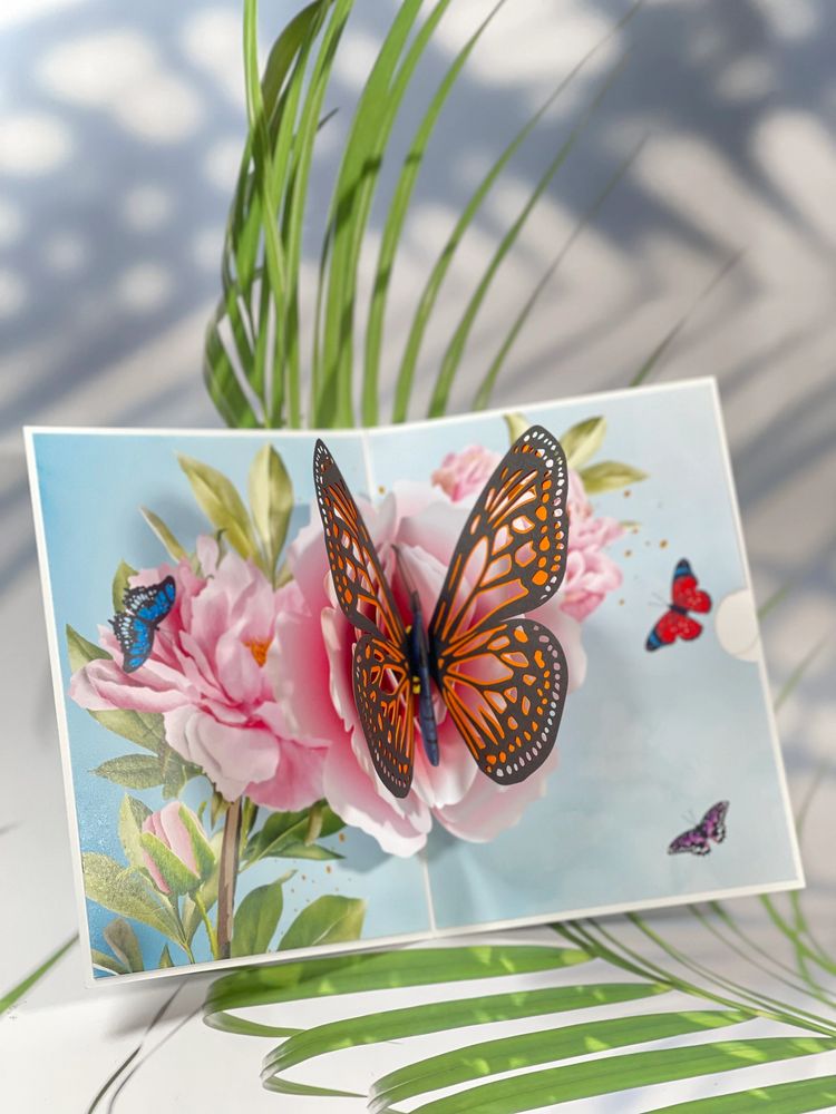 Buy Pop Up Greeting Cards Online Australia AmberT.au