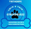 Swim and Trim Grooming Salon & Dog Exercise Pool
