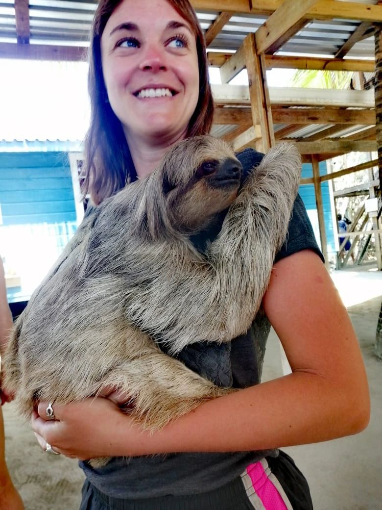 Daniel Johnson's Sloth and Monkey Hangout