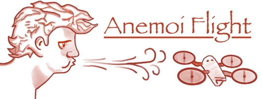 Anemoi Flight